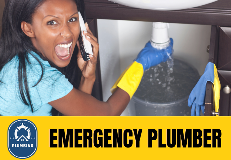 emergency plumber Swanscombe